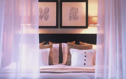 Tree Top Suite Whimbrel_10126